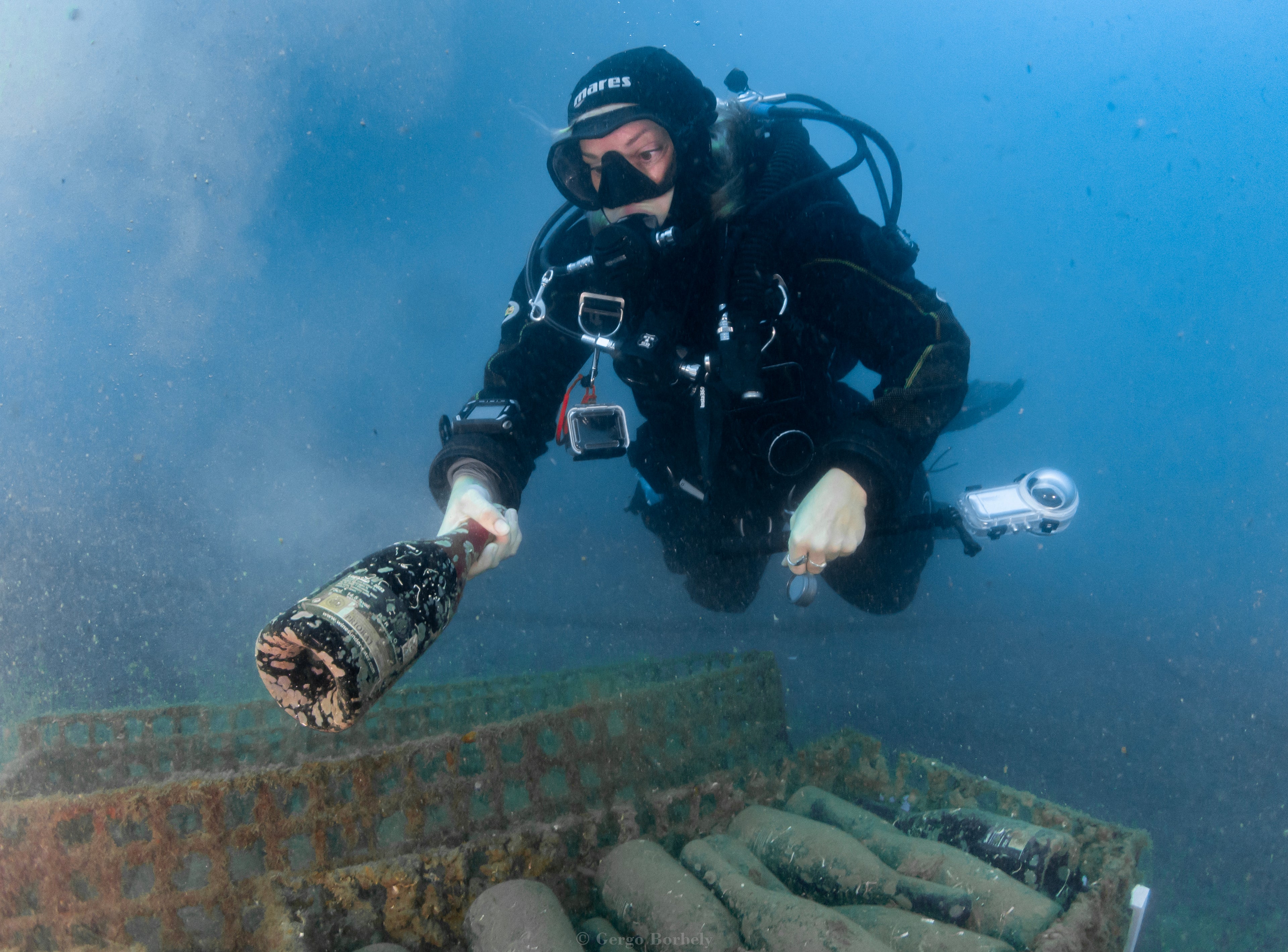 1/2 case: LegaSea- 2022 (dry red wine)