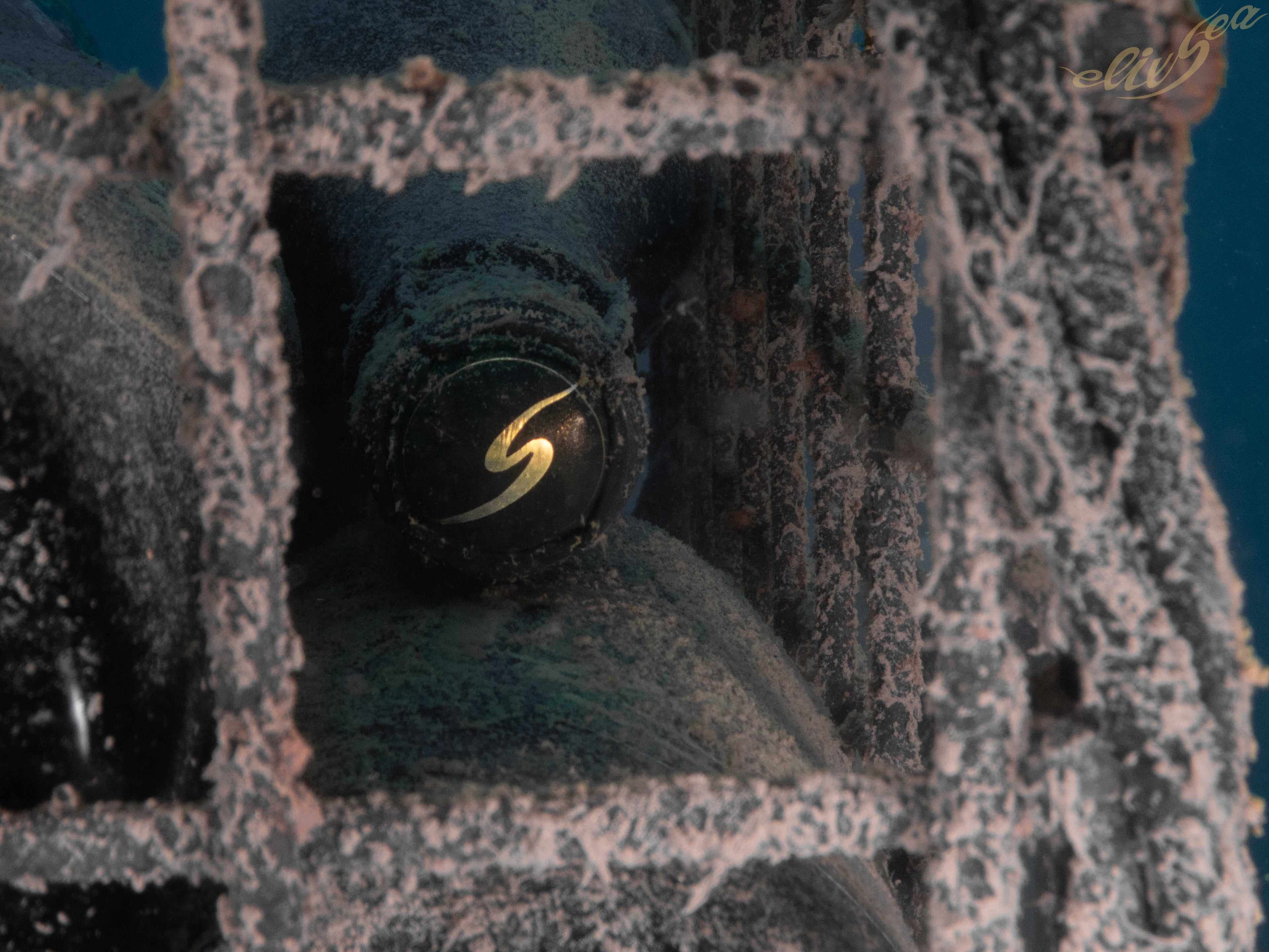 1/2 case: Cava Brut Nature Reserva (dry-sparkling)