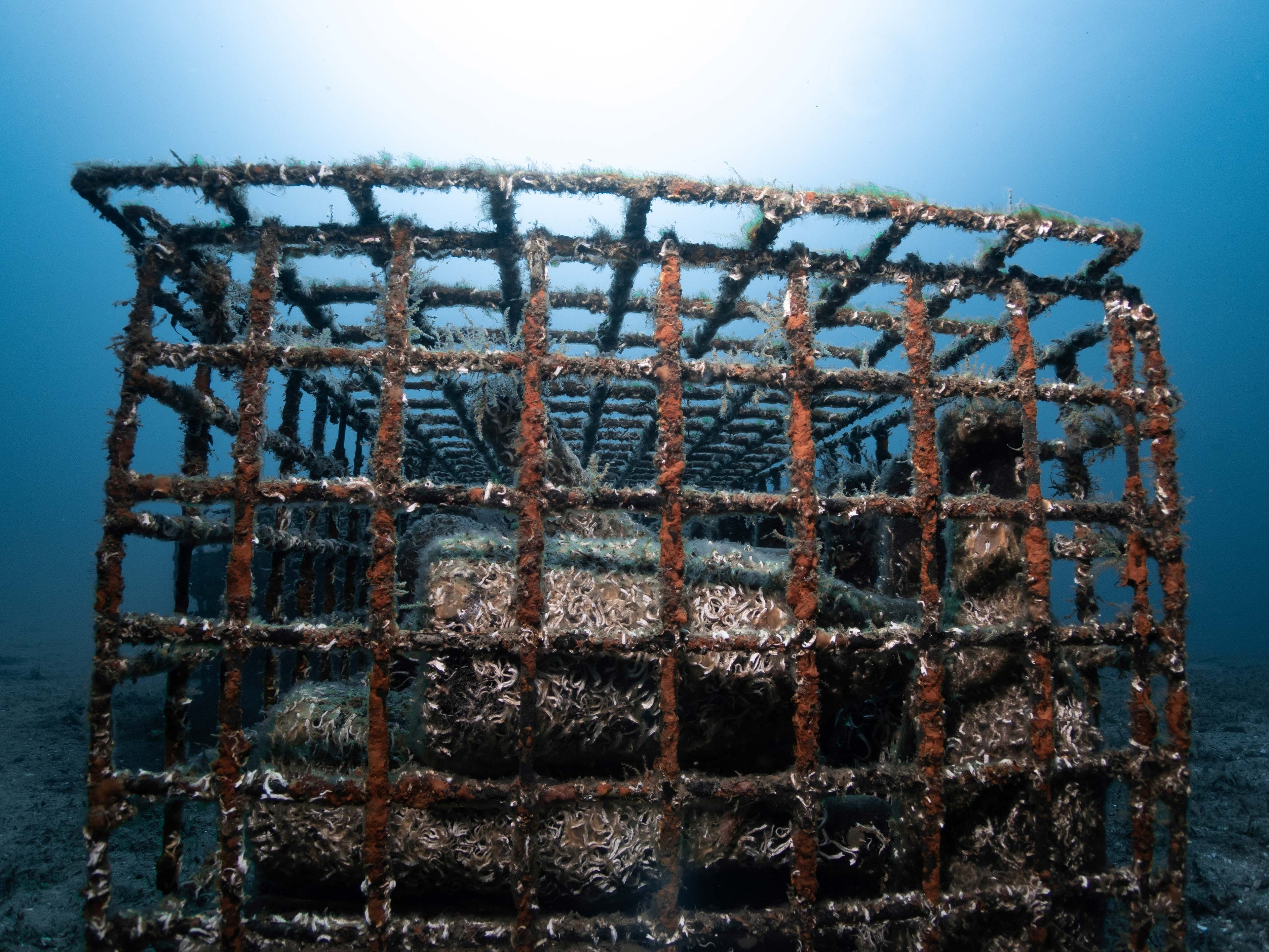 1/2 case: Tasting pack -Red