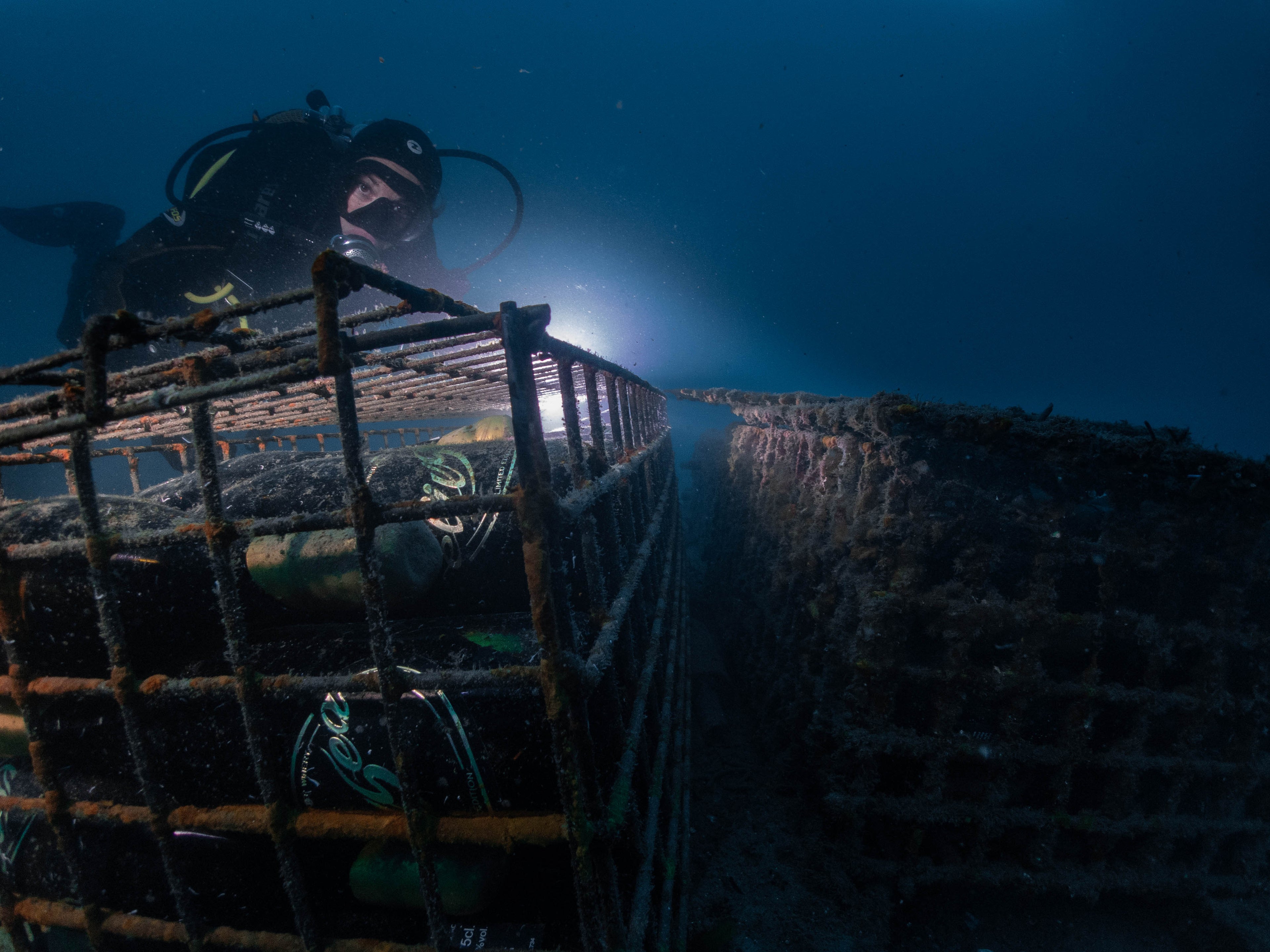 Trident - 2022 (dry red)