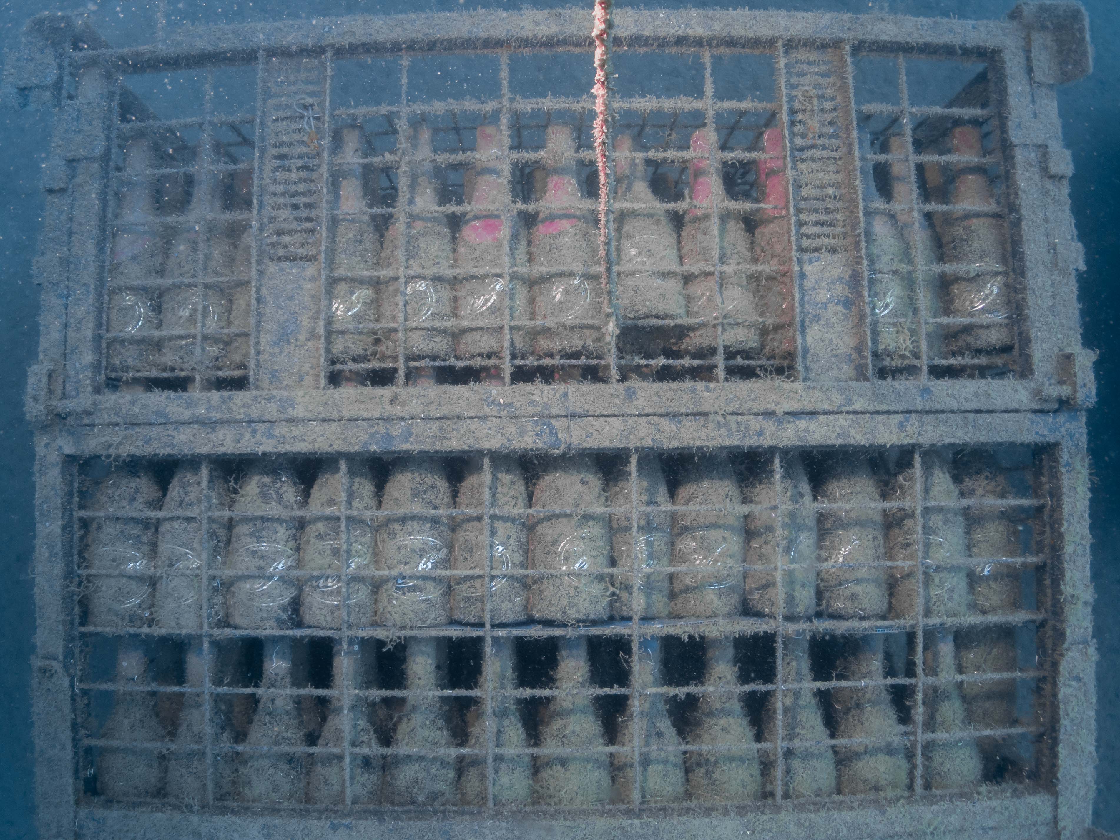 1/2 case: LegaSea- 2022 (dry red wine)