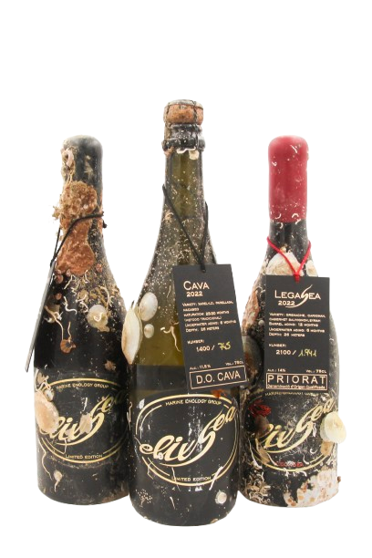 1/2 case: Discovery pack