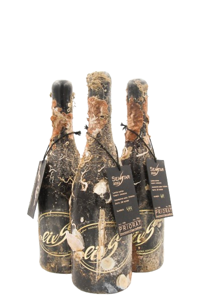 1/2 case: SeaStar - 2024 (dry red wine)