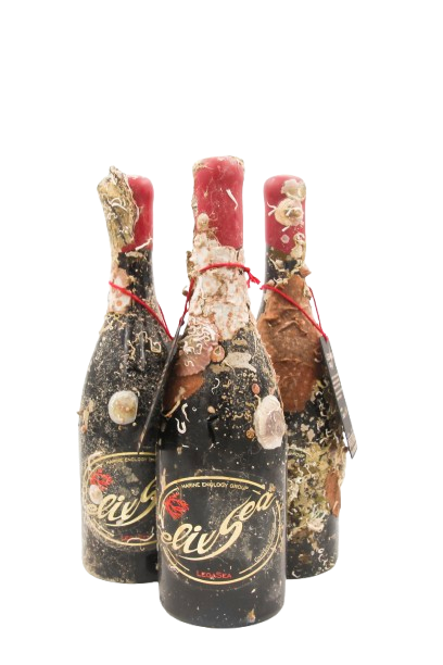 1/2 case: LegaSea- 2022 (dry red wine)