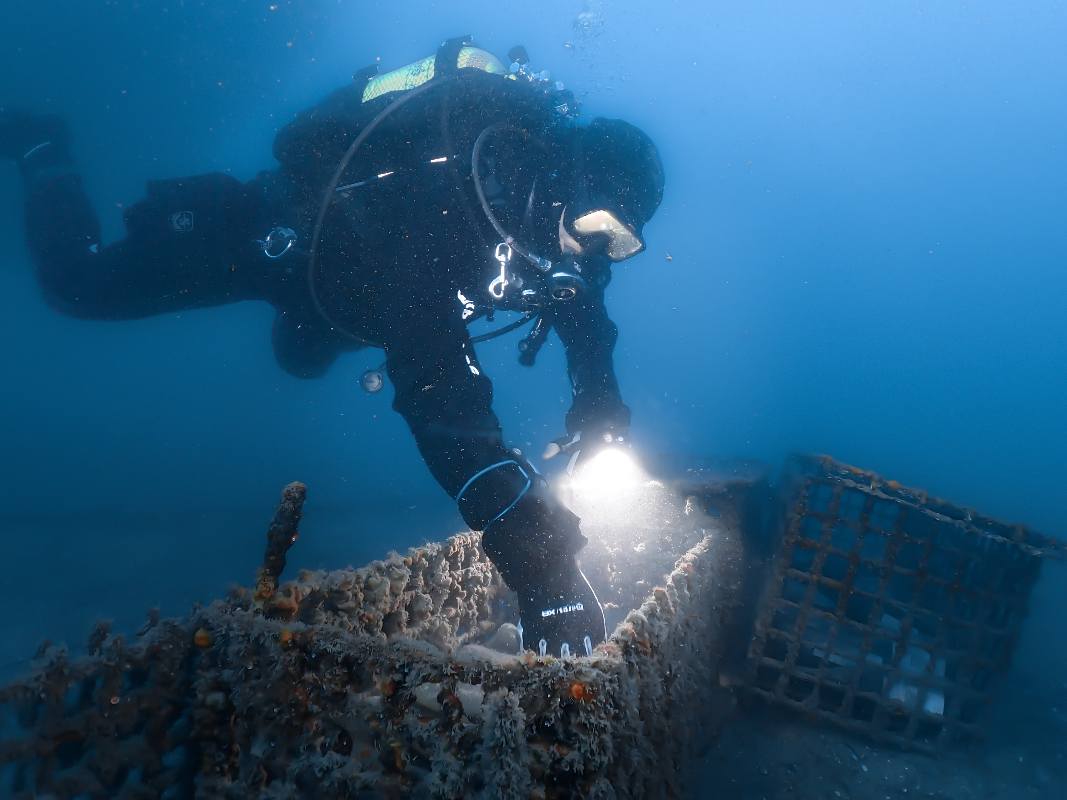 LegaSea - 2022 (dry red wine)