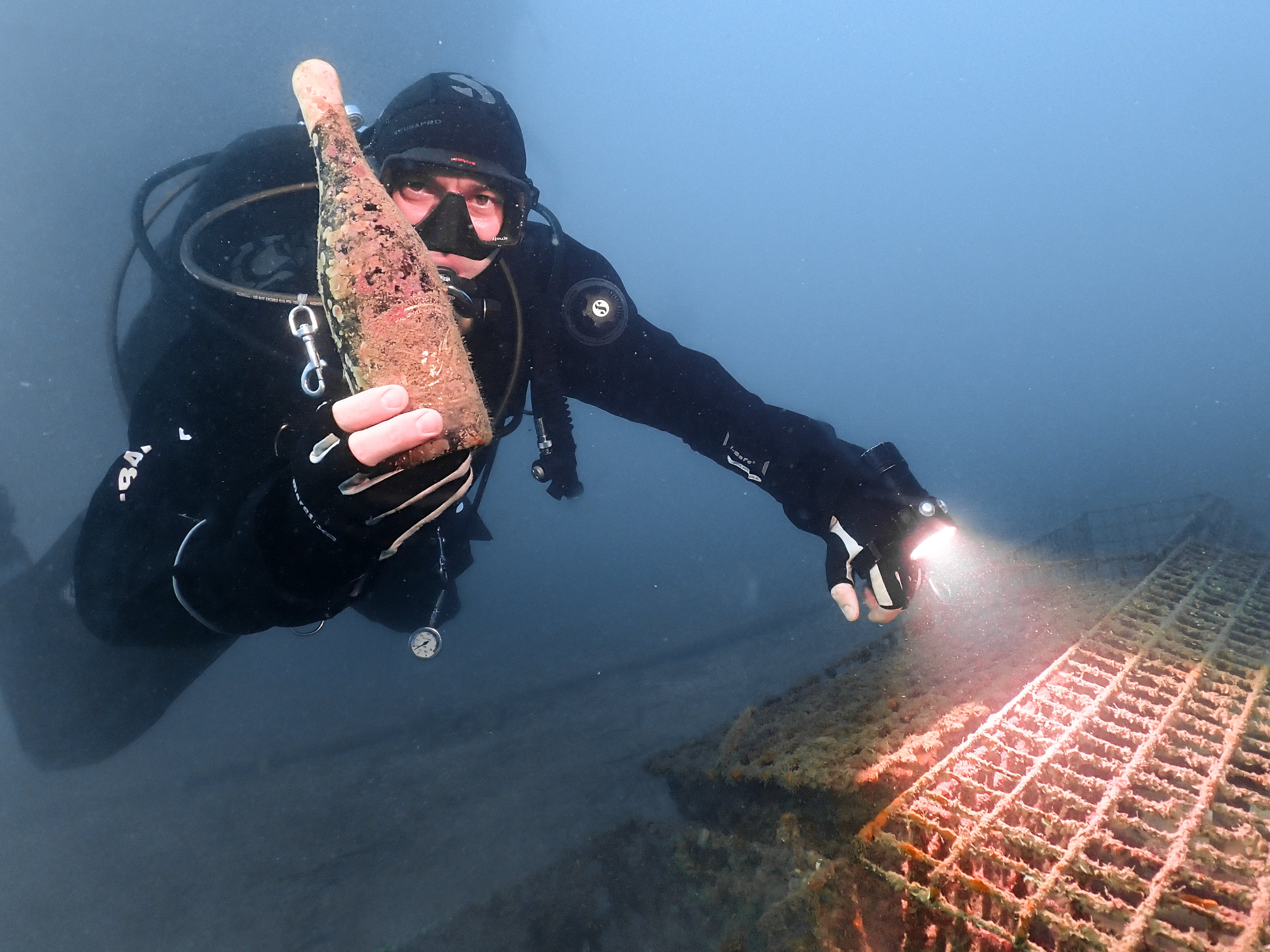 1/2 case: SeaStar - 2024 (dry red wine)