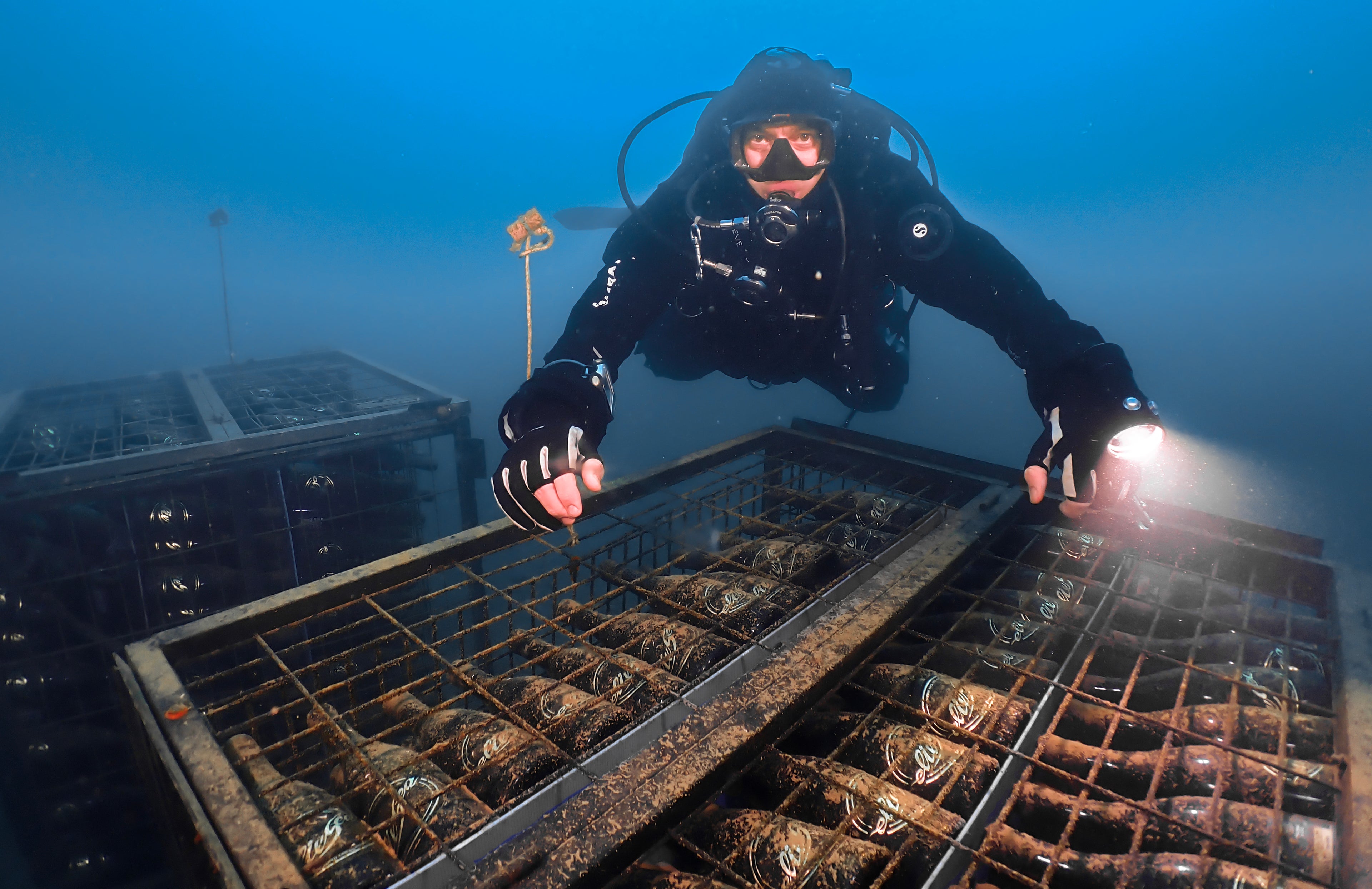 1/2 case: Tasting pack -Red