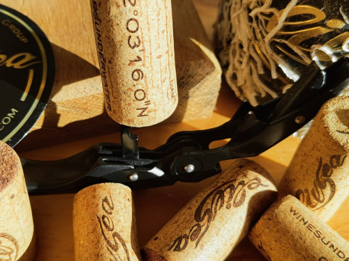 1/2 case: Discovery pack