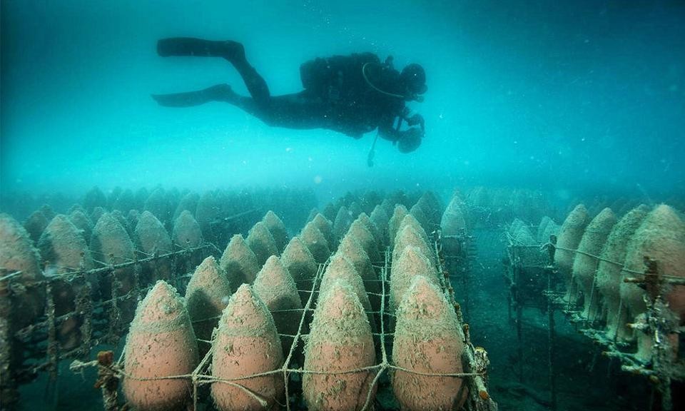 Wine cages on the sea floor