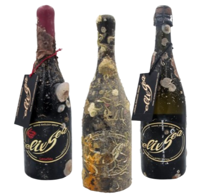 Tasting pack - 3 bottles
