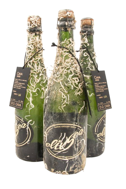 1/2 case: Cava Brut Nature Reserva (dry-sparkling)