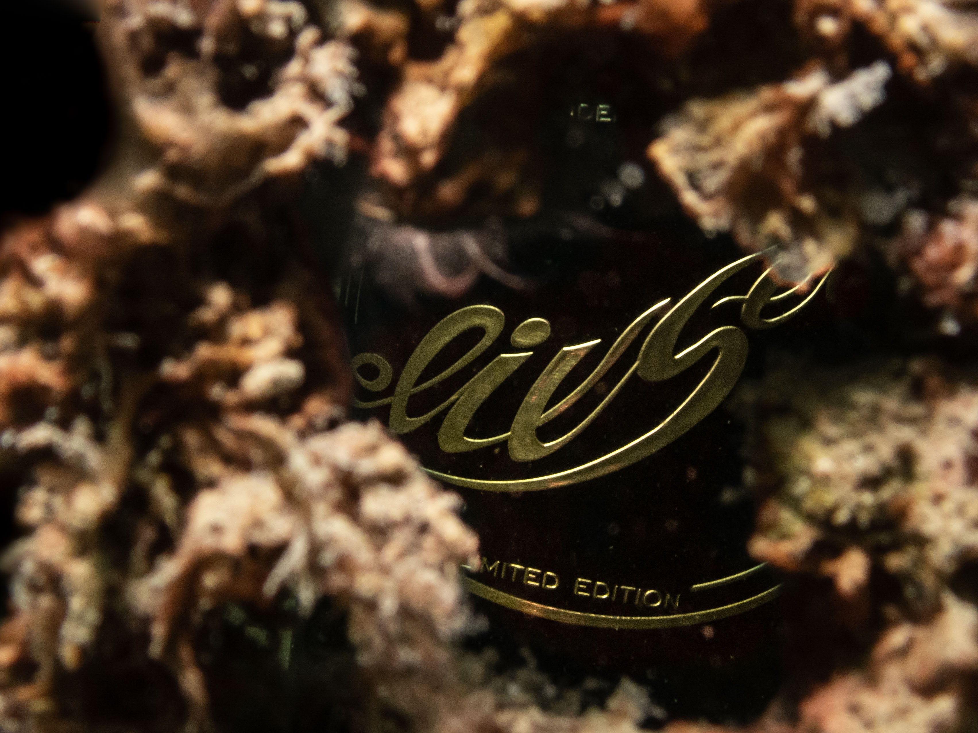 1/2 case: Tasting pack -Red