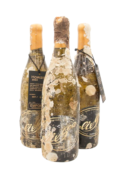 1/2 case: Horizon - 2024  (dry white wine)