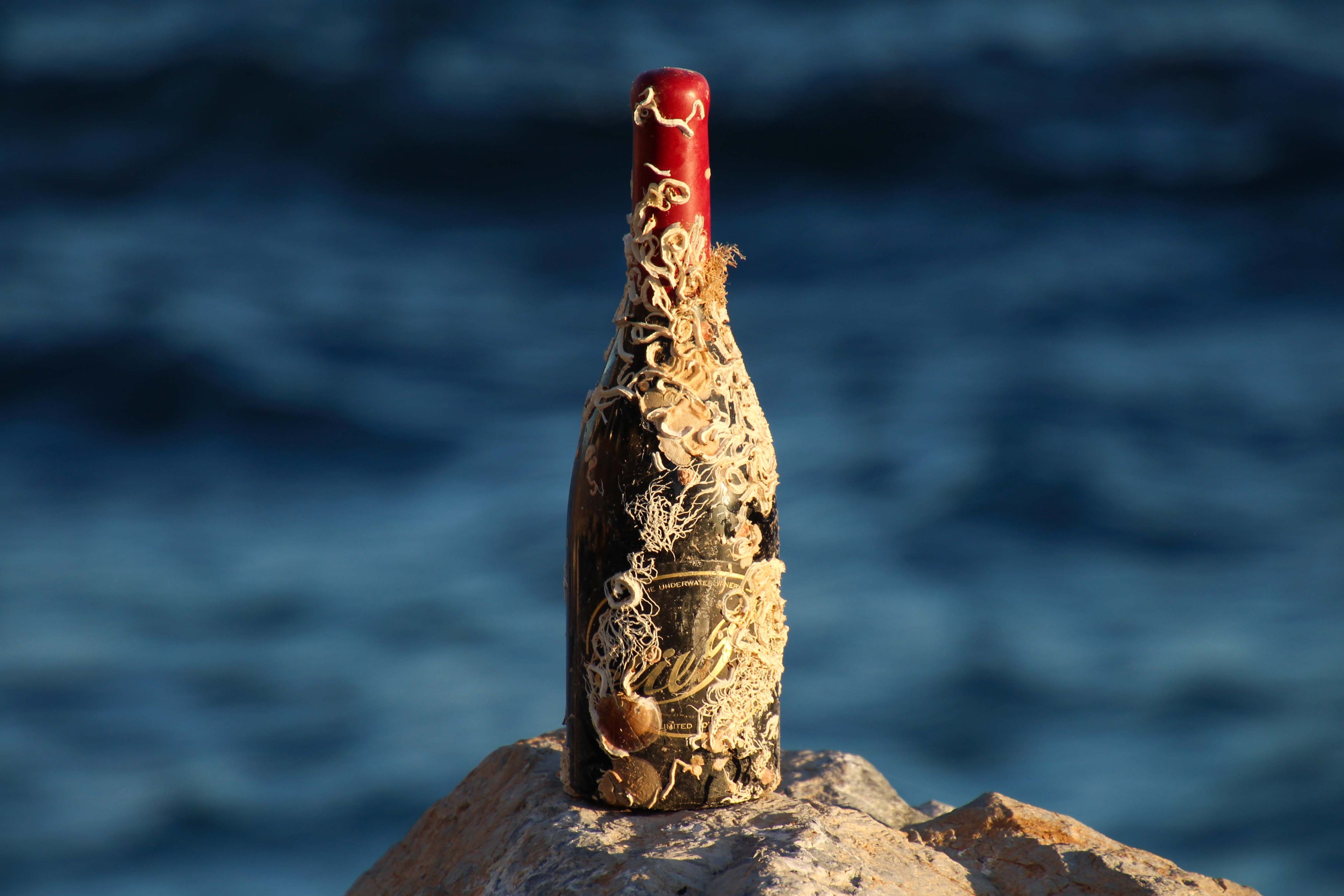 Wine Tasting – Sunset sail 25th June 2026