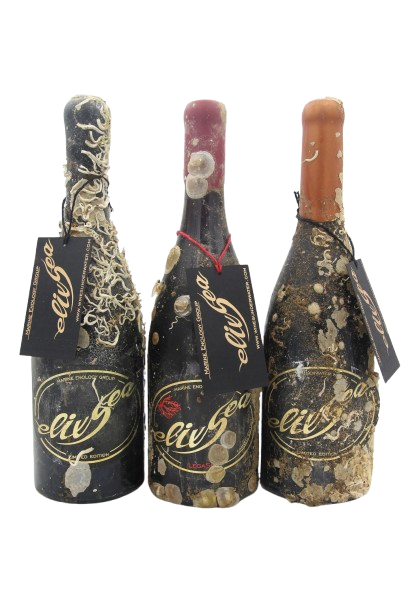 1/2 case: Tasting pack -Red