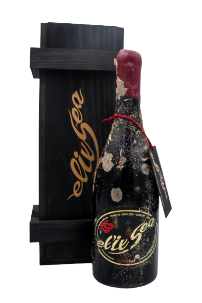 LegaSea - 2022 (dry red wine)