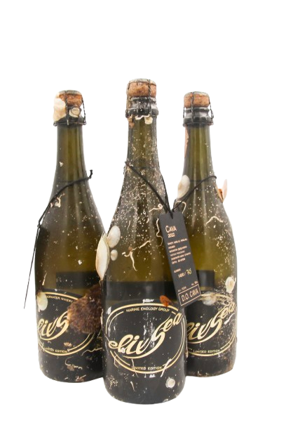 1/2 case: Cava Brut Nature Reserva (dry-sparkling)