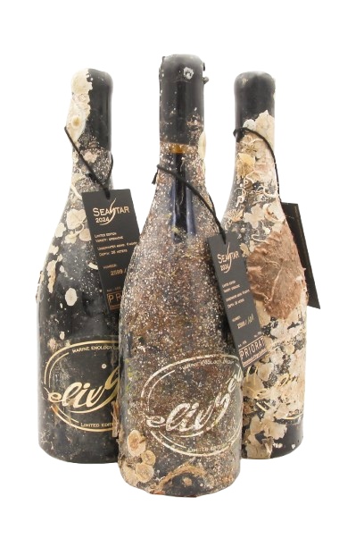 1/2 case: SeaStar - 2024 (dry red wine)