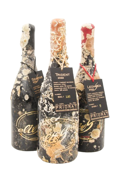 1/2 case: Tasting pack -Red