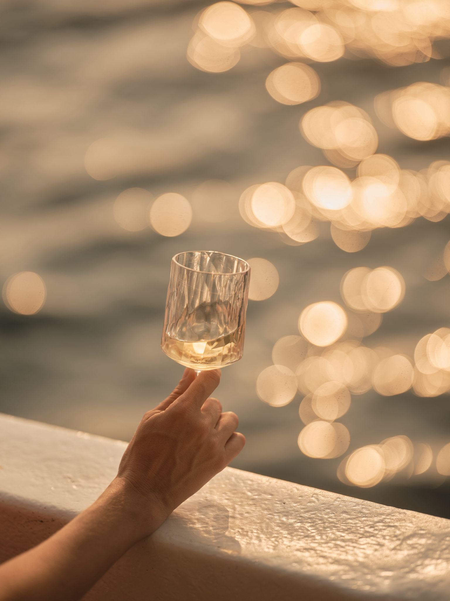 Wine Tasting – Sunset sail 25th June 2026