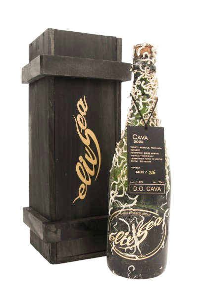 Cava Brut Nature Reserva - 2022 (dry-sparkling)